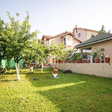 Casa Damian Hotel Două Mai Eksteriør billede